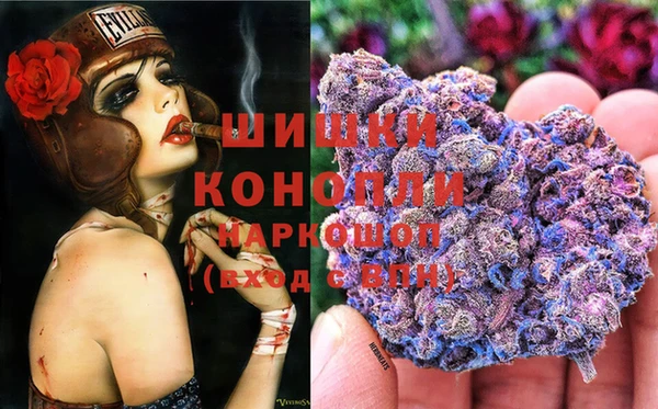 ГАЛЛЮЦИНОГЕННЫЕ ГРИБЫ Кущёвская