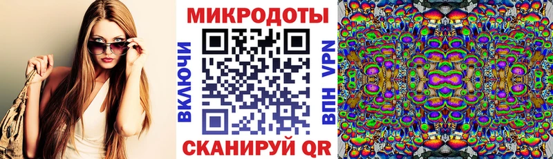 где купить наркотик Могоча Галлюциногенные грибы GOLDEN TEACHER