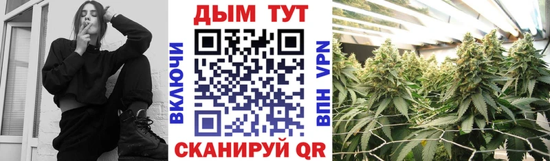 Конопля гибрид  наркота  ОМГ ОМГ как зайти  даркнет формула  Могоча 